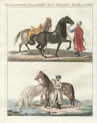 Le cheval avec ses différentes sortes