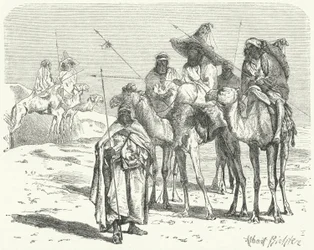 Touaregs (gravure)