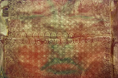 Voyage 299, Suaire de Bouddha, 2010 (acrylique sur toile)