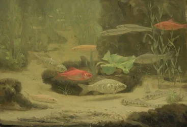 Lépismes dorés et argentés dans un aquarium