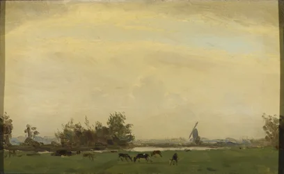 Paysage de prairie sur la Spaarne
