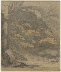 École de poneys et une raie