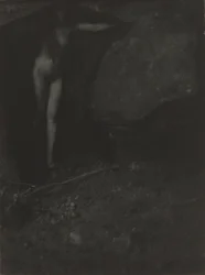 La chauve-souris