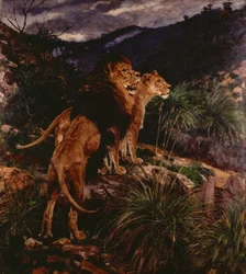 Lions en chasse