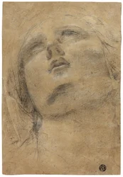Tête de la Vierge regardant vers le haut