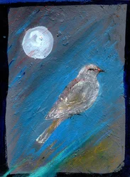 Oiseau de lune, 2016