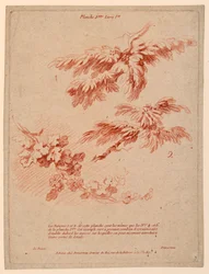 Planche 2 du Livre Ier, Principes du dessin dans le genre du paysage
