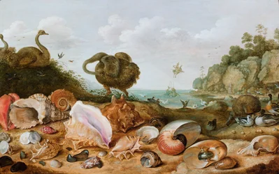 Coquillages et oiseaux, dont un dodo, sur un rivage, Persée sauvant Andromède à l