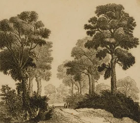 Paysage