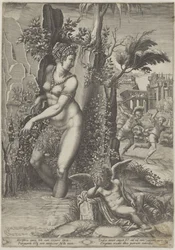 Vénus et la rose