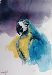 Ara bleu et jaune