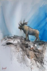 La majestueuse montagne Moose