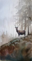Cerf de la forêt brumeuse