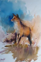 Renard sauvage serein