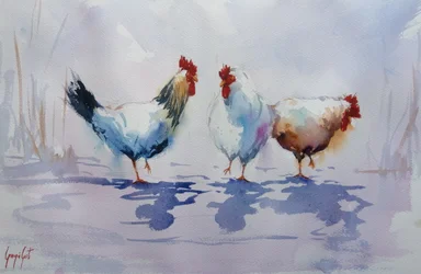 Trois poules de basse-cour