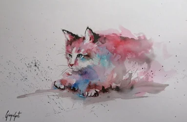 Chaton éclaboussé à l