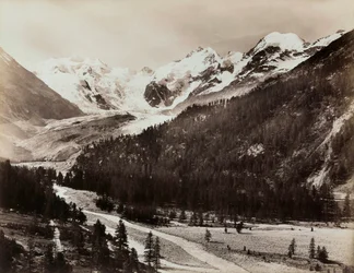Vue d