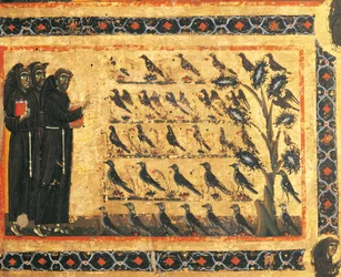 Histoires de saint François : saint François prêchant aux oiseaux, fresque de Giotto (1267-1337), vers 1325. Chapelle Bardi de Vernio, basilique Santa Croce, Florence, Italie