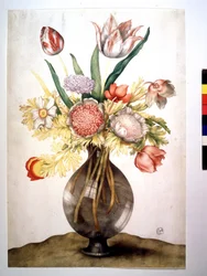 Pavots, tulipes et pivoine