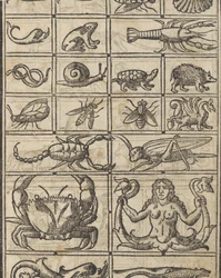 Essempio di recammi, page 11 recto, 1530
