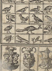 Essempio di recammi, page 12 recto