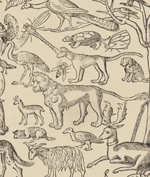 Essempio di recammi, page 13 recto, 1530