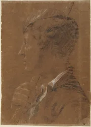 Tête de profil d