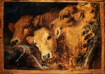 Trois têtes de veau. Peinture de Giovanni Benedetto Castiglione dit il Grechetto (1610-1665)