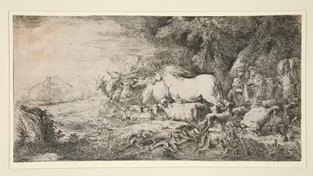 Les animaux entrant dans l