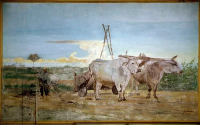 Le fumier animal collecté