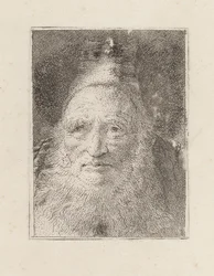 Vieillard barbu avec un chapeau, de la Raccolta di Teste (Collection de têtes)