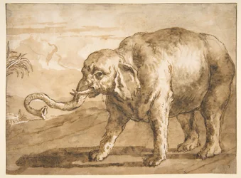 Éléphant dans un paysage