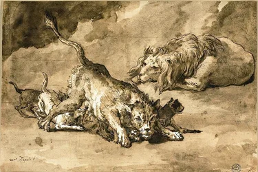 Lion, lionne et lionceaux