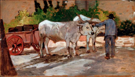 Charrette avec des taureaux et un paysan