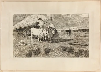 Bœufs et chariot (Maremma)