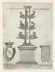 Colonne rostrale
