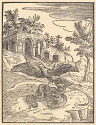 Oiseau et serpent