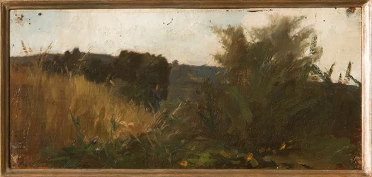 Étude de la Végétation