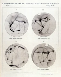 Observations de Giovanni Virginio Schiaparelli (1835-1910) astrophysicien. Il a observé des configurations rectilignes sur la planète Mars, les appelant les canaux martiens (canali). 1890