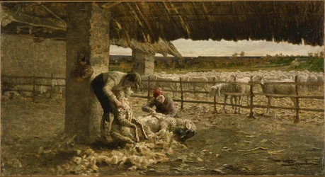 La Tonte des moutons, 1883-1884