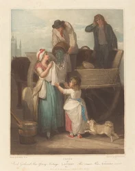 Petits pois fraîchement cueillis, Jeune Hastings