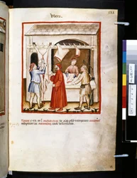 Theatrum sanitatis par Ububchasym de Baldach: 