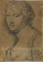 Buste de femme
