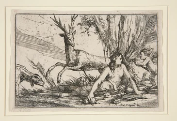 La Terre, des Quatre Éléments
