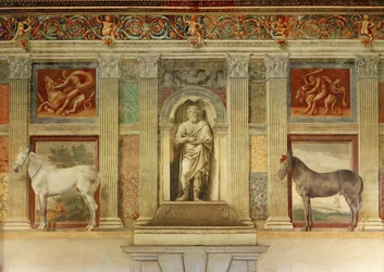Sala grande dei cavalli, avec des fresques des chevaux préférés des Gonzague ... (fresque)