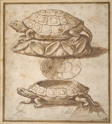 Boîte à friandises en forme de tortue