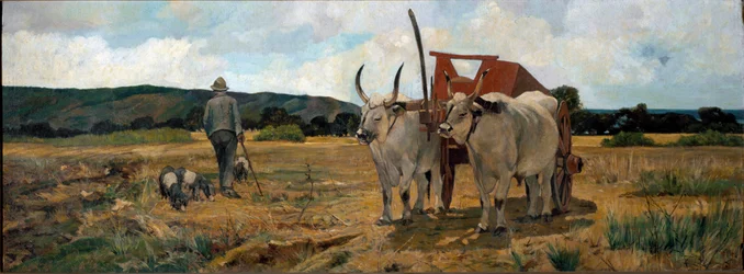 Paysage en Maremme
