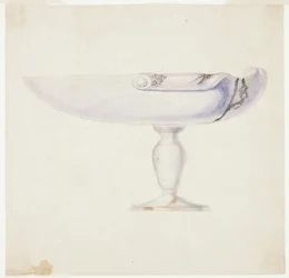 Coquillage violet sur pied