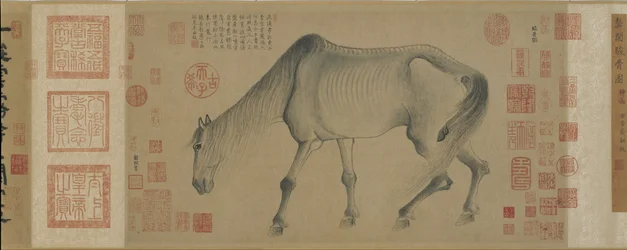 Jun Gu, un cheval noble