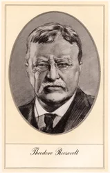 Theodore Roosevelt, 26e président des États-Unis